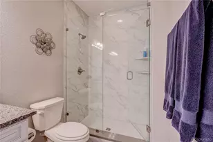 6602 Mentha Dr, Castle Rock, CO 80108 - Photo 40