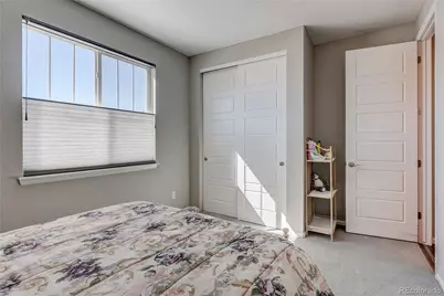 6602 Mentha Drive, Castle Rock, CO 80108 - Photo 26