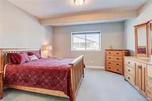 6602 Mentha Dr, Castle Rock, CO 80108 - Photo 36