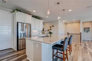 6602 Mentha Dr, Castle Rock, CO 80108 - Photo 6