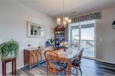 6602 Mentha Drive, Castle Rock, CO 80108 - Photo 16