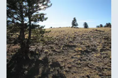 2767 Fitzsimmons Road, Hartsel, CO 80449 - Photo 28