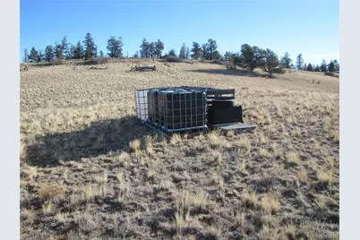 2767 Fitzsimmons Road, Hartsel, CO 80449 - Photo 10