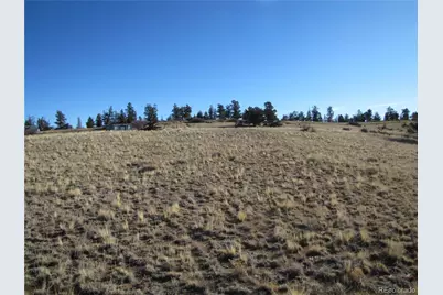 2767 Fitzsimmons Road, Hartsel, CO 80449 - Photo 22