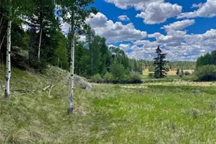 458 Arrowhead Rd, Florissant, CO 80816 - Photo 1