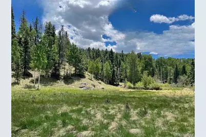 458 Arrowhead Road, Florissant, CO 80816 - Photo 2