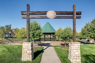 1610 Exquisite St, Castle Rock, CO 80109 - Photo 42