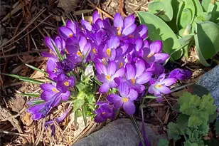 16165 Burt Gulch Rd, Buena Vista, CO 81211 - Photo 38