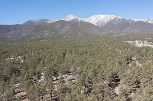 16165 Burt Gulch Rd, Buena Vista, CO 81211 - Photo 44