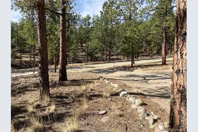 16165 Burt Gulch Road, Buena Vista, CO 81211 - Photo 40