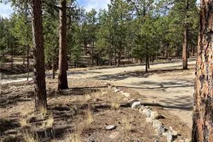 16165 Burt Gulch Rd, Buena Vista, CO 81211 - Photo 40