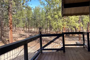 16165 Burt Gulch Rd, Buena Vista, CO 81211 - Photo 4