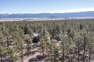 16165 Burt Gulch Rd, Buena Vista, CO 81211 - Photo 6