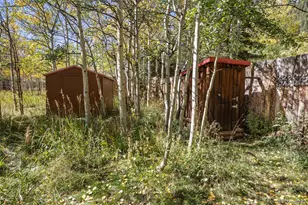 855 Eldorado Ave, Nederland, CO 80466 - Photo 42