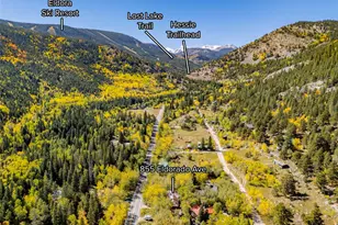 855 Eldorado Ave, Nederland, CO 80466 - Photo 12