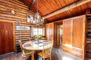 855 Eldorado Ave, Nederland, CO 80466 - Photo 22