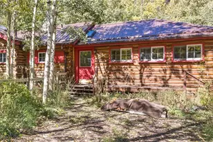 855 Eldorado Ave, Nederland, CO 80466 - Photo 1