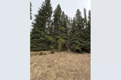 91 Lake Road, Idaho Springs, CO 80452 - Photo 2