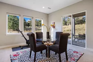 5186 Copper Blush Ct, Castle Rock, CO 80108 - Photo 32