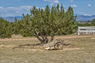 116 Top Notch Trail, Penrose, CO 81240 - Photo 48