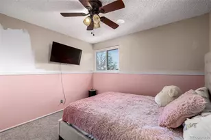 11668 Lincoln St, Northglenn, CO 80233 - Photo 12