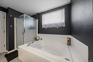 3700 Black Feather Trail, Castle Rock, CO 80104 - Photo 24