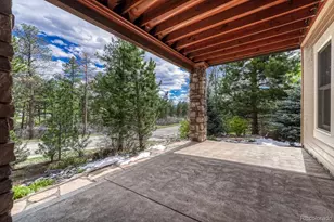 1248 Castle Grove Pl, Castle Pines, CO 80108 - Photo 36
