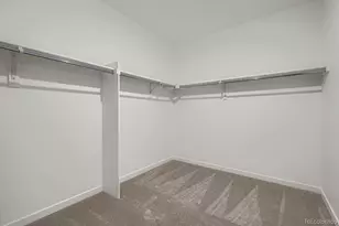 4272 Lucas Dr, Johnstown, CO 80534 - Photo 6