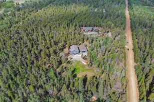 1110 Circle 73, Fairplay, CO 80440 - Photo 44