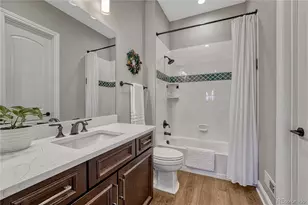 3158 Wingspan Pt, Castle Rock, CO 80108 - Photo 24