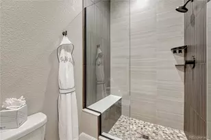 3158 Wingspan Pt, Castle Rock, CO 80108 - Photo 40