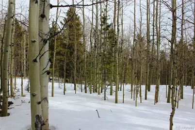 00 Miners Mesa Road, Black Hawk, CO 80422 - Photo 6