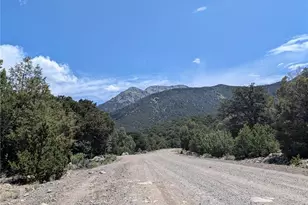 1799 Lone Pine Way, Crestone, CO 81131 - Photo 1