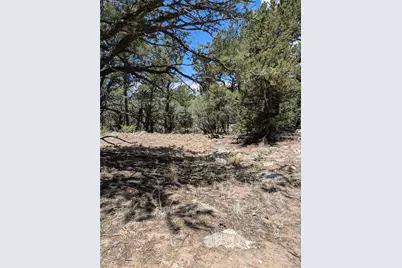 1799 Lone Pine Way, Crestone, CO 81131 - Photo 4