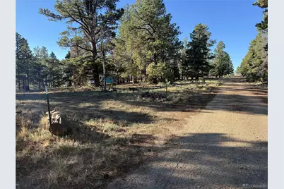 Lot 164 Tahmoush Lane, Fort Garland, CO 81133 - Photo 1