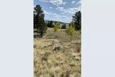 52 Bit Way, Hartsel, CO 80449 - Photo 4