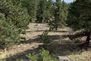 52 Bit Way, Hartsel, CO 80449 - Photo 1