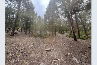30304 Aspen Turn, Buena Vista, CO 81211 - Photo 8