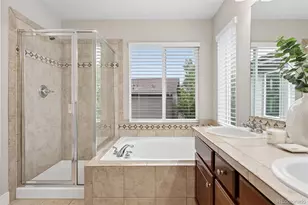 10863 Towerbridge Rd, Highlands Ranch, CO 80130 - Photo 22