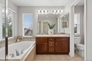 10863 Towerbridge Rd, Highlands Ranch, CO 80130 - Photo 20