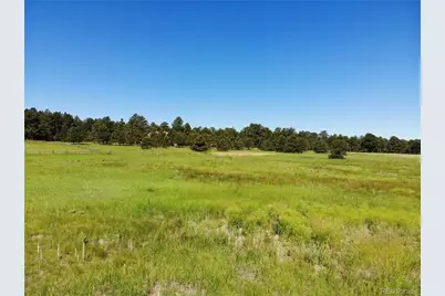 15599 Arfsten Road, Larkspur, CO 80118 - Photo 32