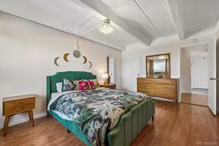 1265 Race St, Denver, CO 80206 - Photo 10
