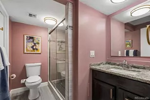 1265 Race St, Denver, CO 80206 - Photo 14
