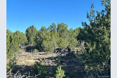 Lot 12 City Ranch Property, Walsenburg, CO 81089 - Photo 8