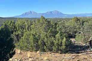 Lot 12 City Ranch Property, Walsenburg, CO 81089 - Photo 1