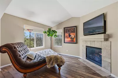 7298 Almandine Court, Castle Rock, CO 80108 - Photo 8