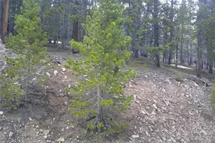 Lot 417 Glory Hole Rd, Idaho Springs, CO 80452 - Photo 1