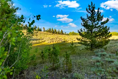 Coil Drive, Fairplay, CO 80440 - Photo 20