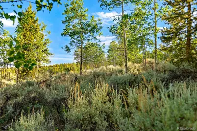 Coil Drive, Fairplay, CO 80440 - Photo 22