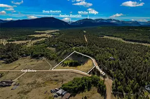 Coil Dr, Fairplay, CO 80440 - Photo 1